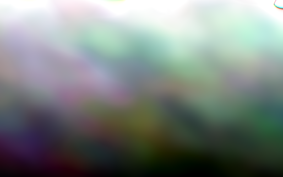 The measurement layer, named